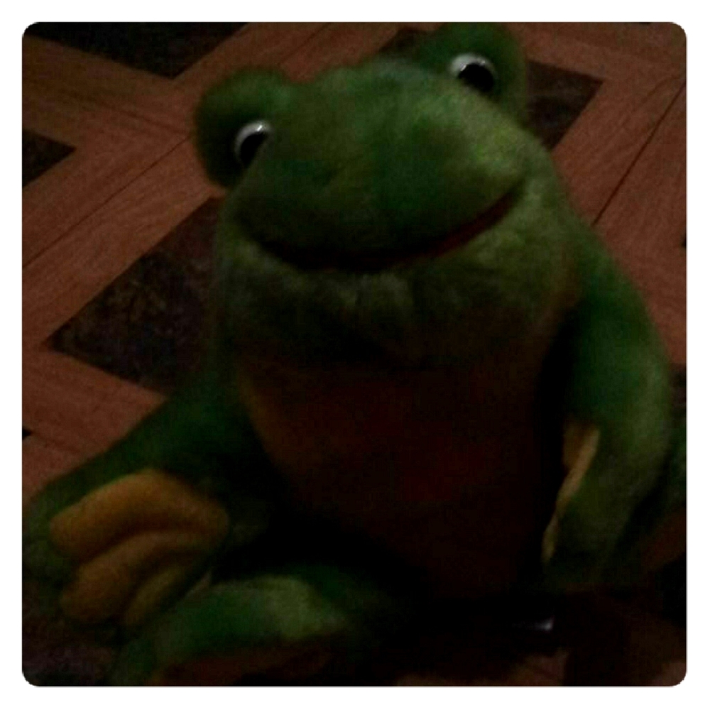 Frog decor